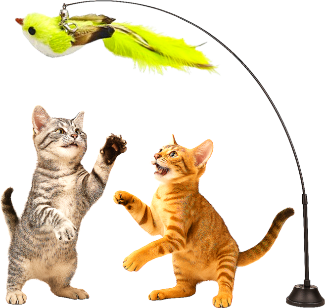 스마일플로우 진짜같은 사랑새 낚시대 풀세트 고양이 최애 튼튼 고정 장난감, 1세트, 라임 새