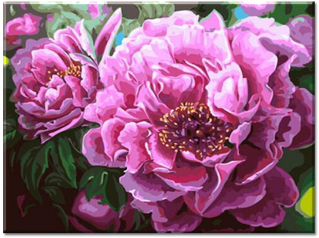 (물감2배)모모픽스페인팅 I73 화려한 모란꽃 40x50cm 목단꽃 함박꽃 꽃그림그리기 DIY명화그리기, 1개