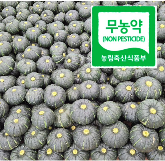 미니단호박 고창금동팜 친환경무농약 미니밤호박 보우짱 특상품, 1개, 공중재배 특상품4kg