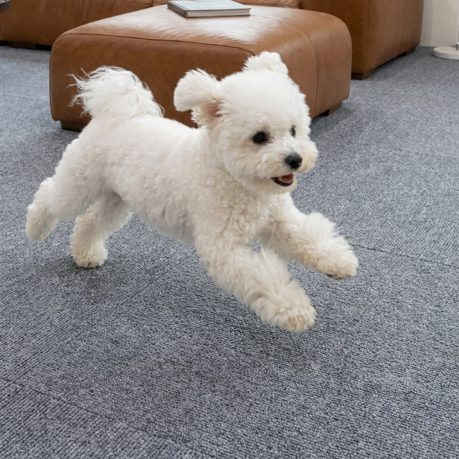 노는 개 최고양 접착제 남지 않는 흡착식 강아지 고양이 미끄럼 방지 거실 매트, 10개, 라이트 그레이