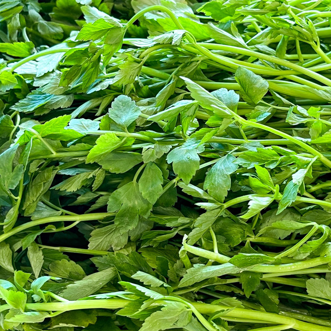 청도 한재 미나리 200g x 1봉, 1개