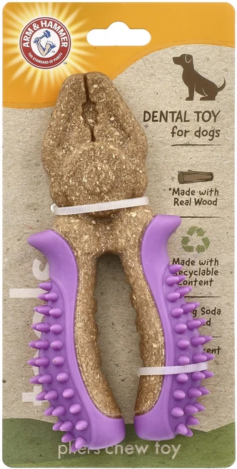 Arm & Hammer 반려견용 치아 관리 장난감 그림 브러시 장난감 1개, ArmHammer반려견용치아관리장난감그림브러시장난감1개 - 쿠팡