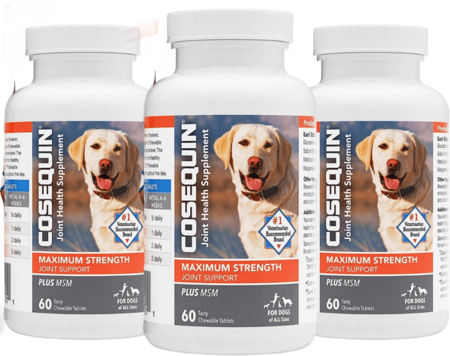 뉴트라맥스 코세퀸 강아지 글루코사민 MSM 60츄어블 3개, 60정, 관절