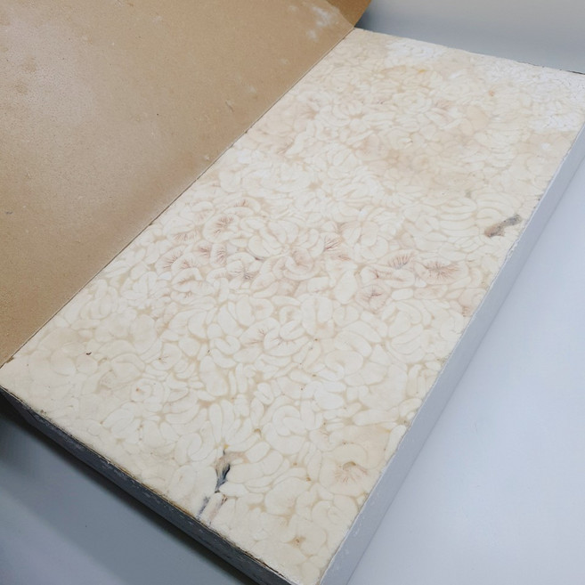 도매/업소용 냉동 대구 곤이 7.5kg 고니 한판 알탕 대구알 대구곤, 대구곤이 한판 7.5kg, 1