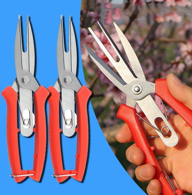 적과 가위 사과 배 과일 나무 알솎기 알솎는 원예 전정 적화, 2개