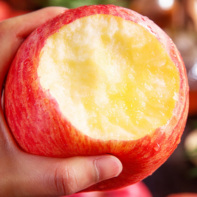 [가격파괴] 초초특가 직접선별 초고당도 못난이사과, 1박스, 5kg