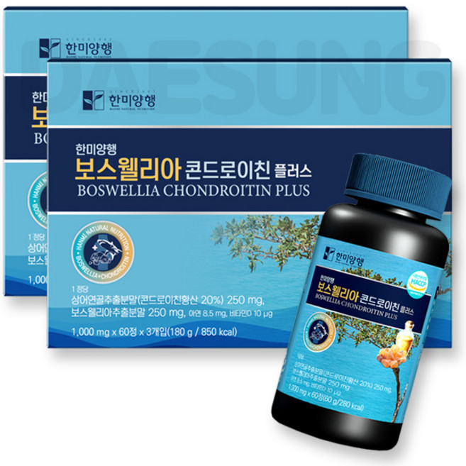 한미양행 보스웰리아 콘드로이친 플러스 대성생활건강 쇼핑백포함 2박스, 1개, 360회분