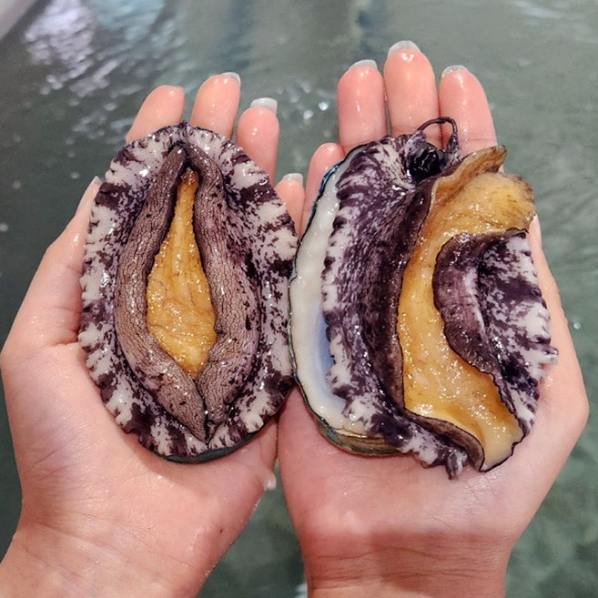 완도 전복 직거래 1kg 실속사이즈 꼬마전복 중전복, 1개, 10마리 700g