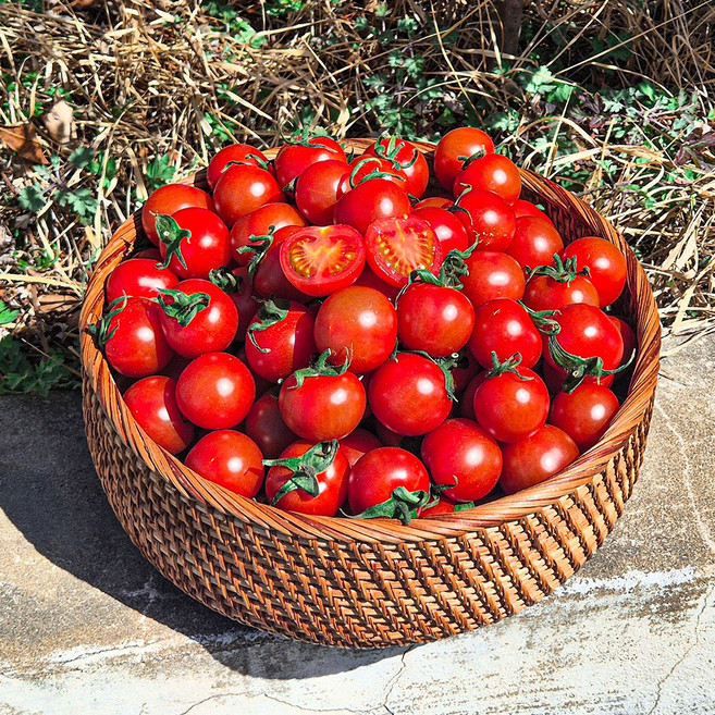 고당도 대저 짭짤이 방울토마토, 1박스, 짭짤이 방울토마토 1kg