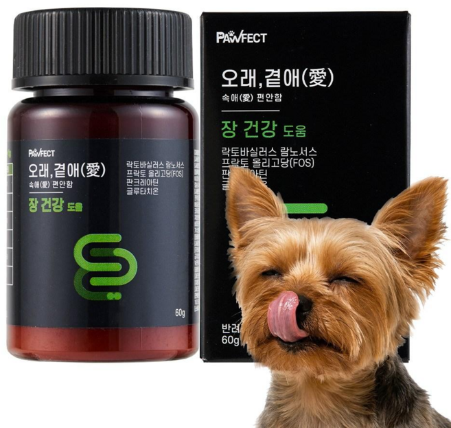[오래곁애] 강아지 1000억 유산균 소화효소 영양제 장건강 설사 묽은변 고양이겸용