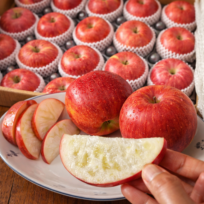 [딱7일만] 예산 세척완료 꿀이박혀있는 햇 부사 사과 5KG 대과, 1박스