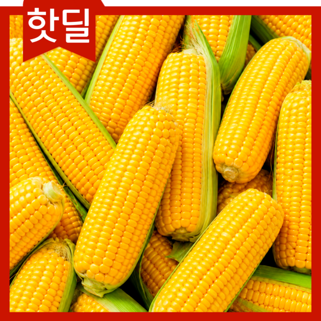 [입점쿠폰] 작년1위 초고당도 아삭달큰 국내산 초당옥수수, 1박스, 왕특품10개 (17cm내외)