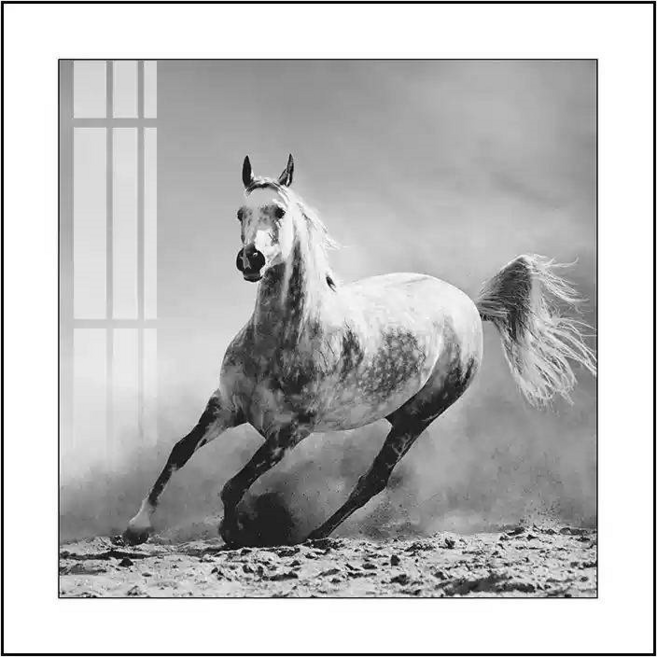 ARTINGO 簡約現代客廳黑白藝術裝飾畫 駿馬掛畫 壁畫, 13  典雅黑色--高檔鋁合金外框