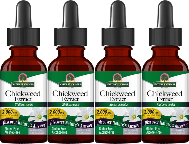 네이처스앤서 고흡수 별꽃 추출물 2000mg 액상 액체, 4개, 30ml - 쿠팡