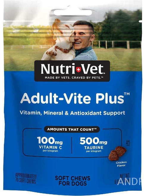뉴트리벳 어덜트바이트 플러스 강아지 비타민 미네랄 지원 70소프트츄, 1개