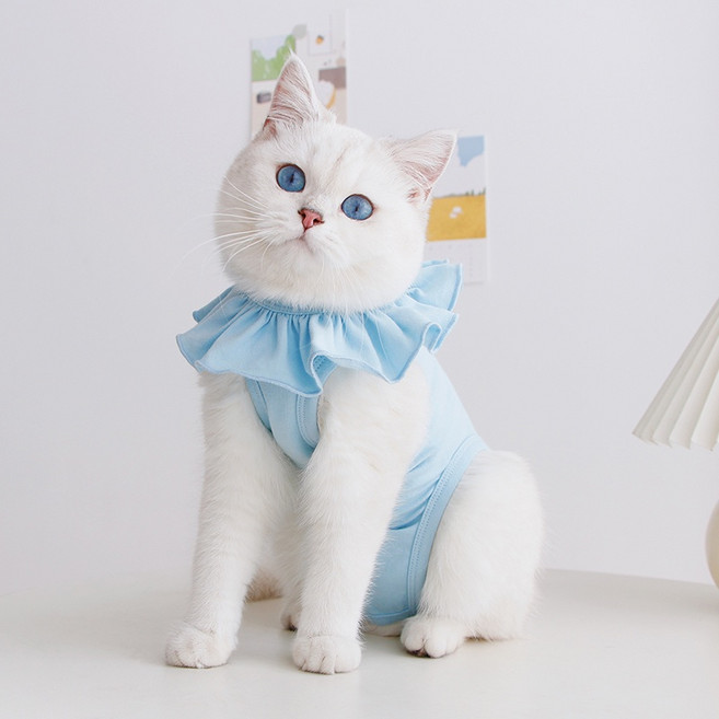 Meoof 貓咪防舔衣 絕育服 寵物術後防舔衣, 1個, 天藍