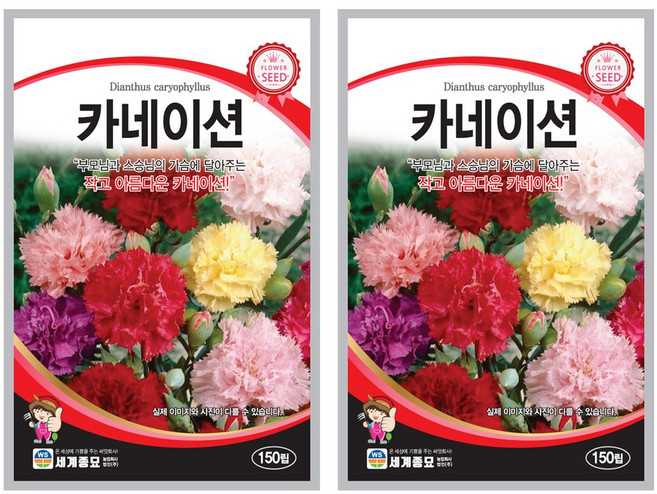 카네이션 씨앗 꽃씨 150립 꽃씨앗 세계종묘 모칸도, 2개