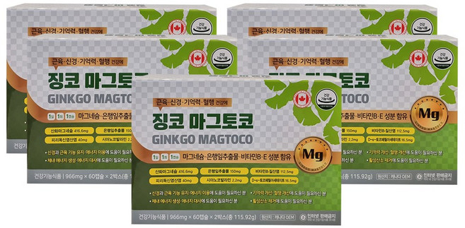 징코 마그토코 120캡슐 X5개 마그네슘 은행잎추출물 비타민B 활성산소 혈행개선, 120정, 51개