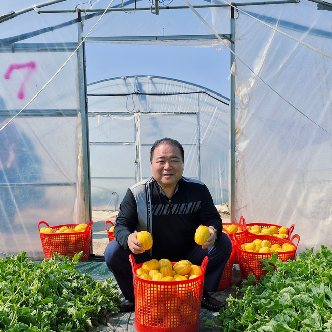 아침엔과일 성주참외 가정용 못난이 참외 당도선별, 1박스, 1kg 랜덤과