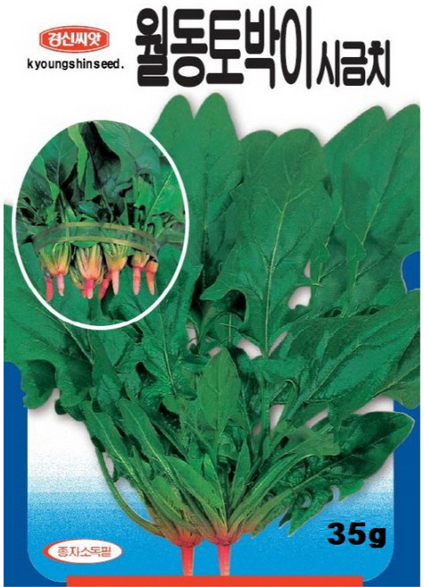 (씨앗) 월동토박이시금치 - 재래종 시금치 - 조선시금치 - 월동시금치 - 시금치 씨앗 종자 - 텃밭용 소포장 - 35g, 1개