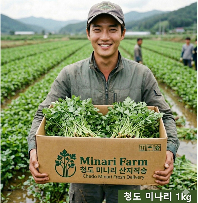 [미나리 마을] 산지 직송 국내산 청도미나리, 1박스, 600kg