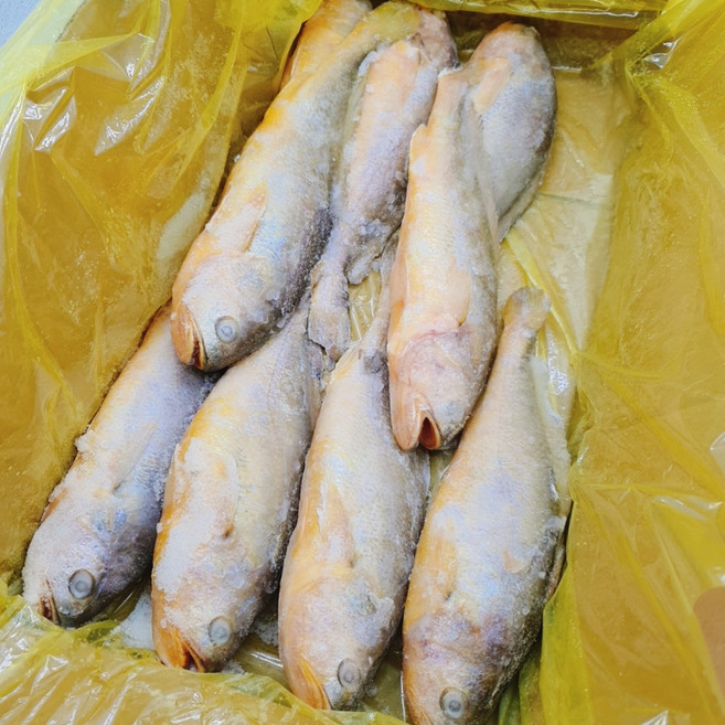400/500 큰사이즈 황금빛 부세조기 1박스 3.4kg(9마리 X 약30cm) 냉동조기, 1