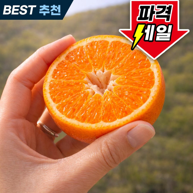 [호텔납품용] 초고당도 미국산 만다린 귤, 1박스, 3kg