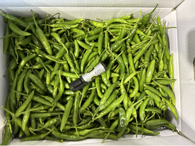 청양고추1kg, 1kg, 1개