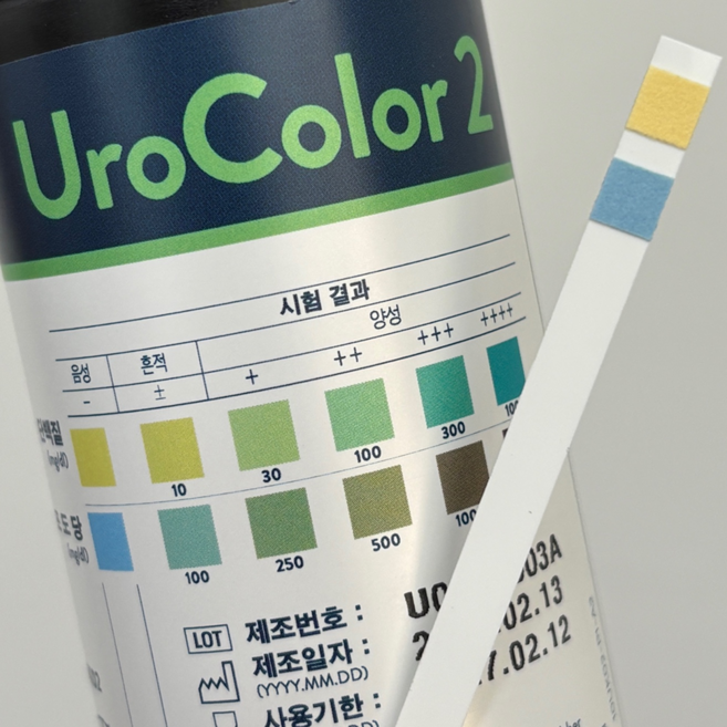 소변검사 키트 혈뇨 소변검사 스틱 단백뇨 잠혈 거품뇨 방광염 잔뇨 애보트 2종, 1개, 100매