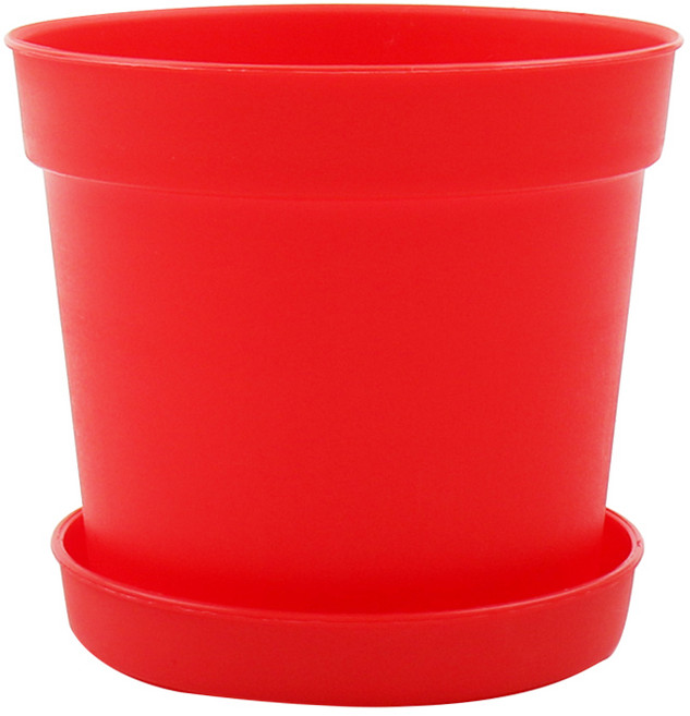 갑조네 담따화분, 빨강, 1개