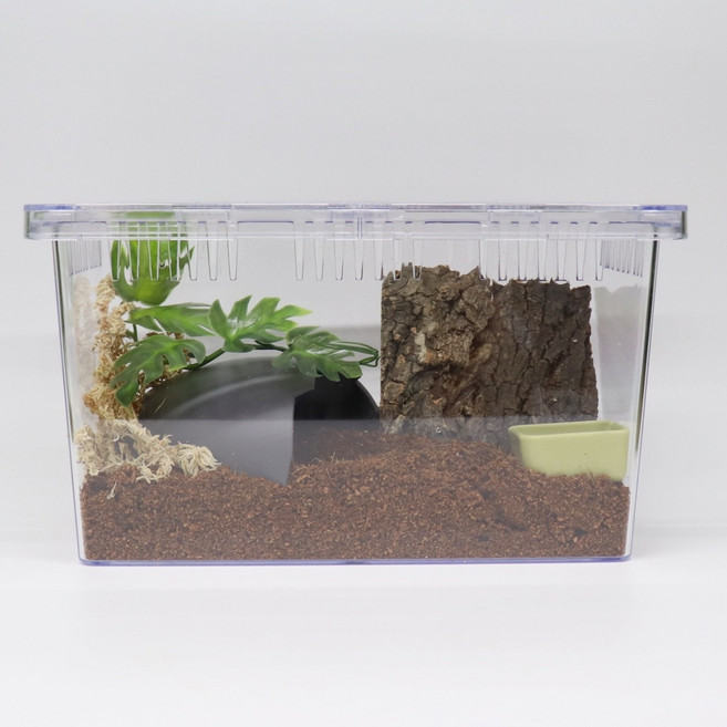 달팽이 사육장세트 소라게사육통 용품포함 절지류 곤충키우기, 달팽이사육세트