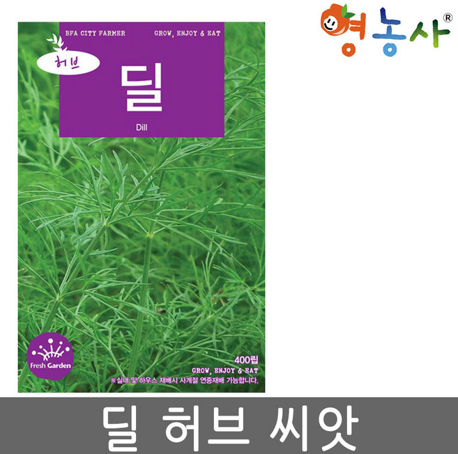 딜 허브 씨앗 400립, 딜씨앗, 1개