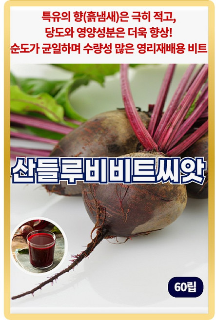산들 루비 비트씨앗 60립 특유 향이 적고 당도 높은 소량 비트씨 종자, 3개