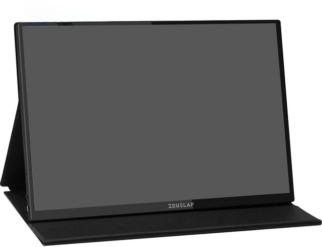 제우스랩 모니터 16인치 터치 버전, P16KT, 35.7cm