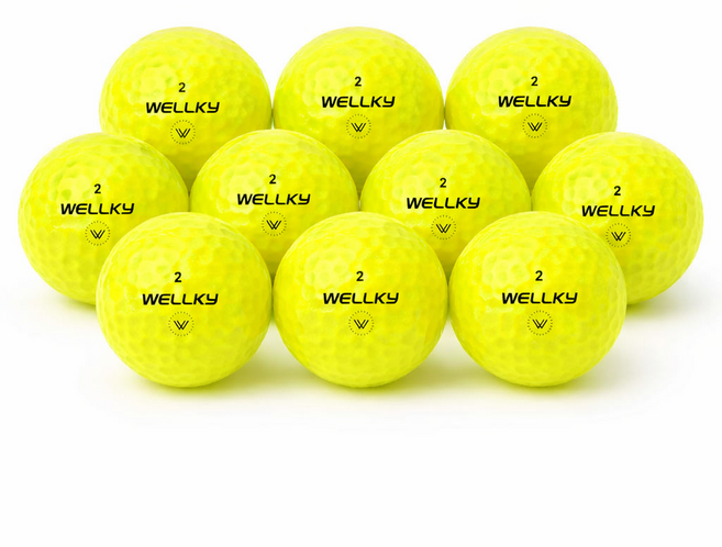 10구 웰키 2피스 새골프공 고반발 비거리 WELLKY -A급 새골프볼, 1세트, 10개입, 옐로우