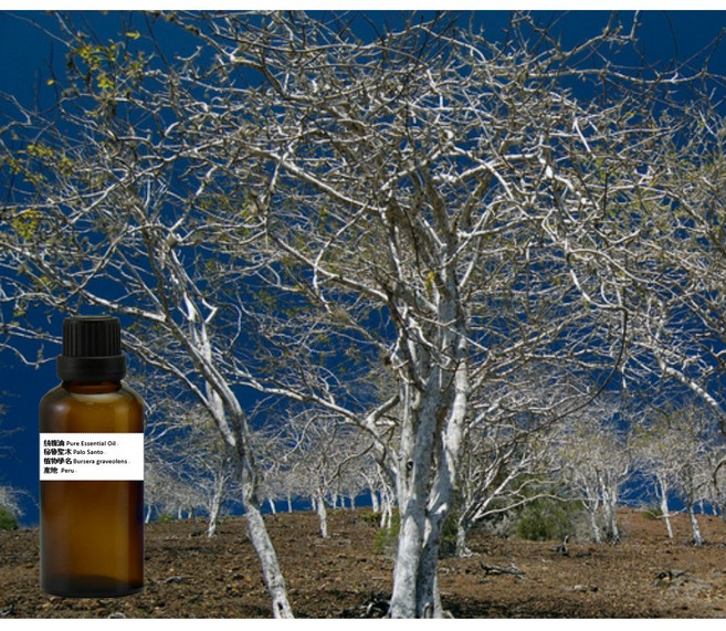 秘魯聖木 純精油 100% 純天然印加聖木 Palo Santo, 1個, 30ml