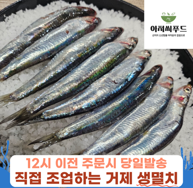 거제 직접조업 손질 생멸치 제철 남해 생멸치 멸치회 멸치쌈밥용, 1개, 통멸치 1kg(손질 X, 조림/젓갈용추천)
