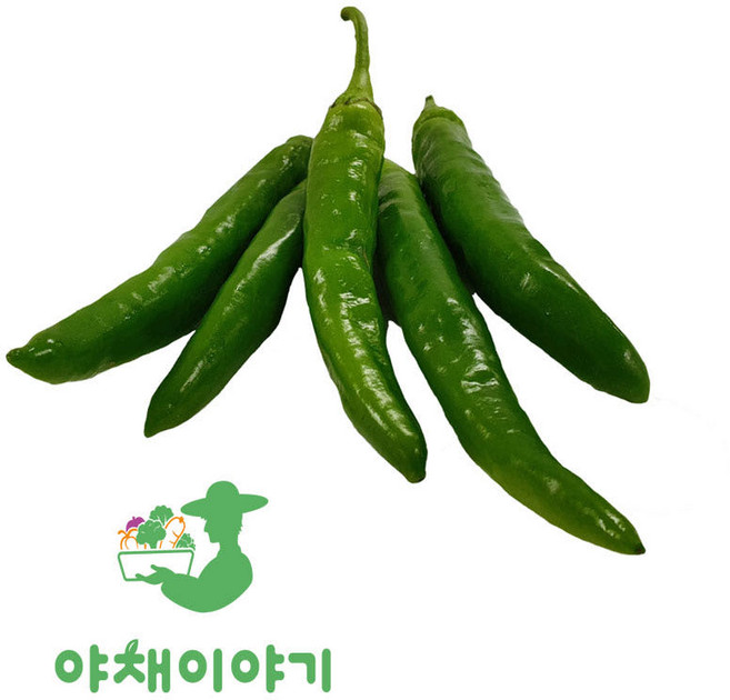 야채이야기 싱싱한 청양고추 500g, 1개
