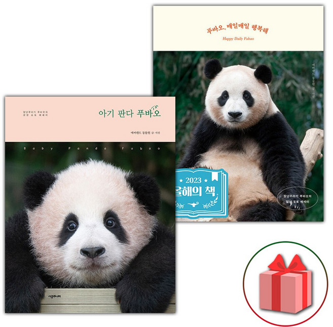 아기 판다 푸바오 + 푸바오 매일매일 행복해 - 전2권