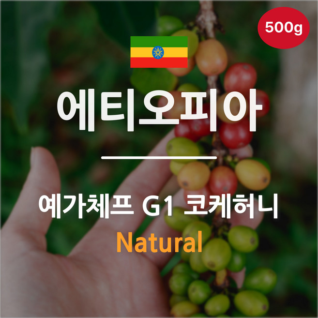 [생두] 에티오피아 코케 허니 예가체프 G1 500g, 1개