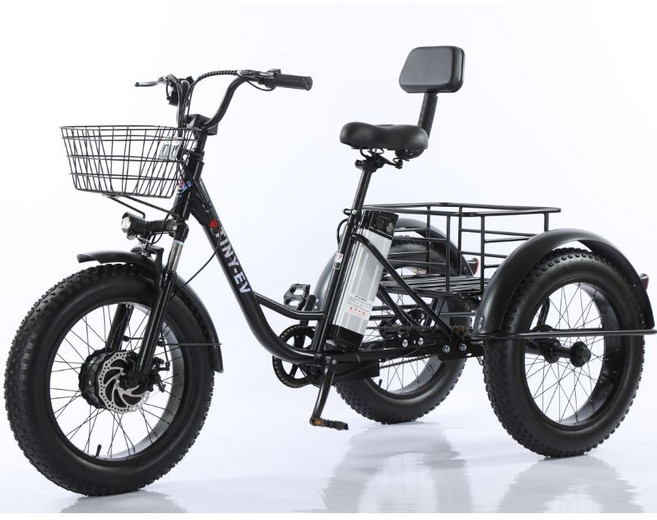 성인 세발 자전거 중년 삼발이 어른, 1개, 1cm, 20인치 500W 48V 12Ah 블랙