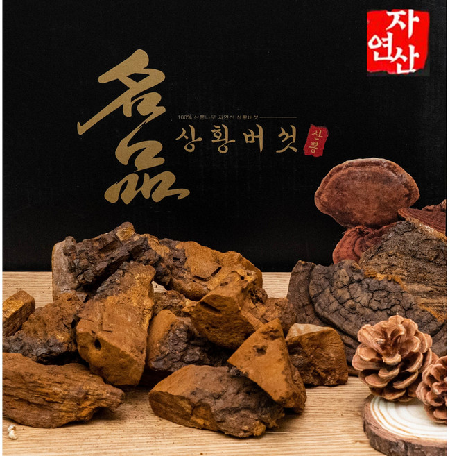 상황버섯 70년산 500g 자연산 정품 산뽕나무상황버섯 절편발송 효도선물 고급포장, 1개