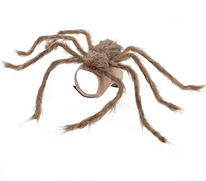 할로윈 애완 동물 거미 옷 작은 큰 개 테디 싸움 골든 리트리버 고양이 재미 변형 의상, L