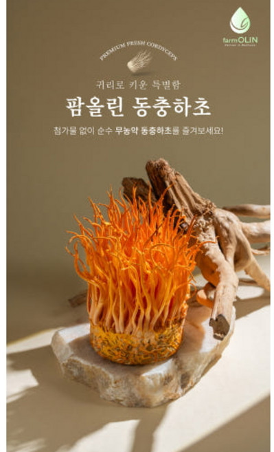 팜올린/귀리동충하초버섯 동충하초생버섯 농장직송, 30개, 100g