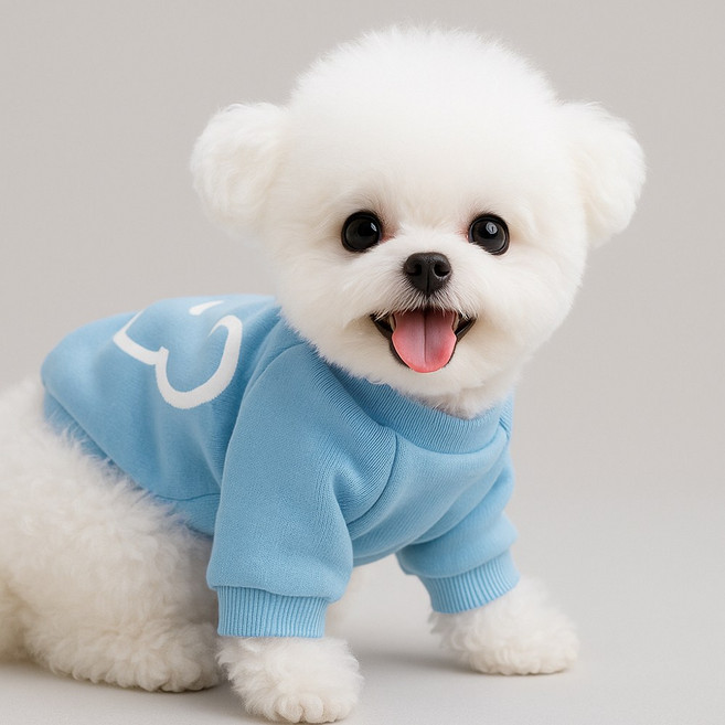 오렌지원 강아지 기모 드로잉 맨투맨 티셔츠 실내복, 1개, 블루