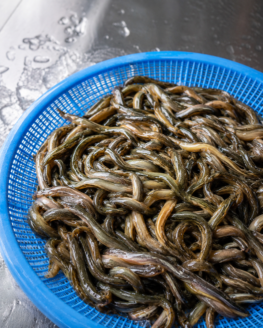 냉동 양식 미꾸라지 추어탕용 신선도, 1개, 1박스(2kg*7팩)