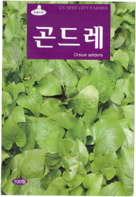 청농 곤드레 씨앗 100립, 1개
