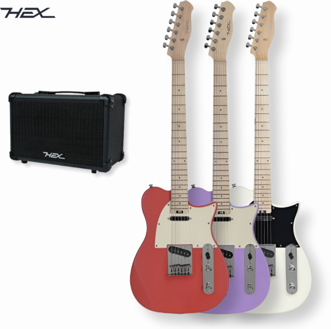 헥스 일렉기타 T100S 앰프 패키지 / 텔레캐스터 입문용, 퍼플, 1개