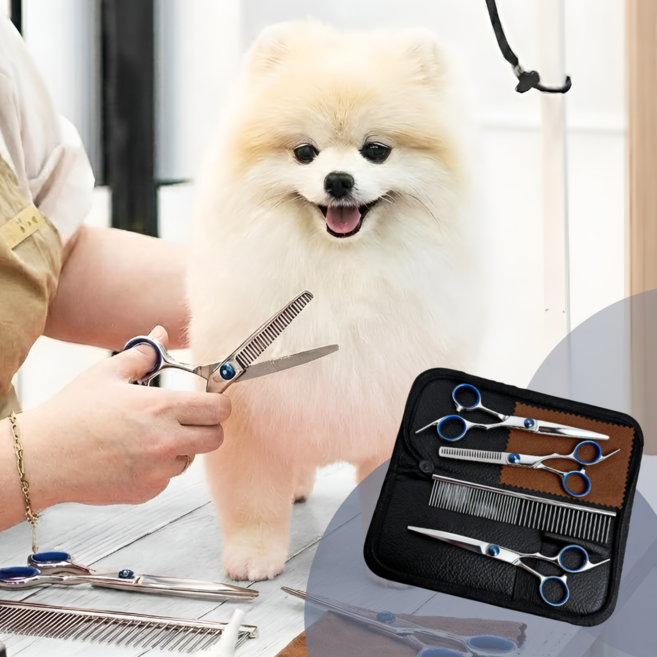 딜헤이븐 반려동물미용가위세트 강아지미용세트, 1세트, 블루
