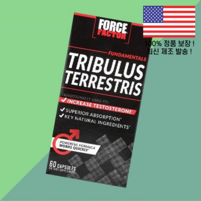 포스 팩터 베이직 트리뷸러스 테레스트리스캡슐 60개 Force Factor, 포스 팩터 베이직 트리뷸러스 테레스트리스캡슐 60개 F, 1, 60
